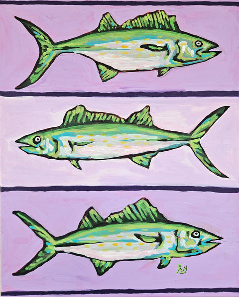"Spanish Mackerel"