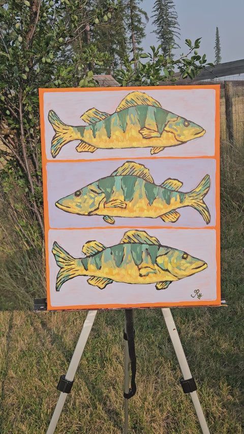 "Perch Fish"