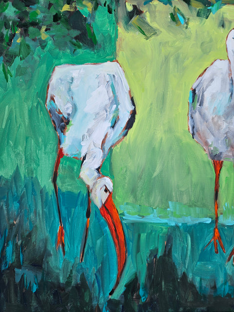 Three Ibis