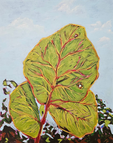 Sea Grape Leaves