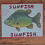 "Sunfish"