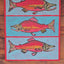 "Kokanee Salmon"