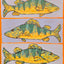 "Perch Fish"