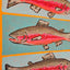 "Cutthroat Trout"