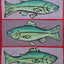 "Lake Trout"