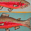 "Cutthroat Trout"