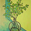 Eucalyptus
