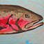 "Cutthroat Trout"