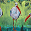 Three Ibis