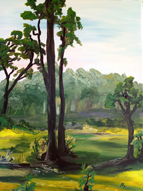 Pinecraft Woods