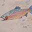 Rainbow Trout